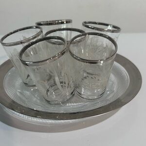Vintage Bar Set – Etched Silver Rim Glasses + Moser Czech Tray – Set of 7